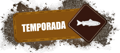 Temporada de Pesca